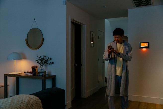 Vivint Kalamazoo smarthome automation